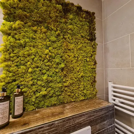 Askala Jasna Appartement *